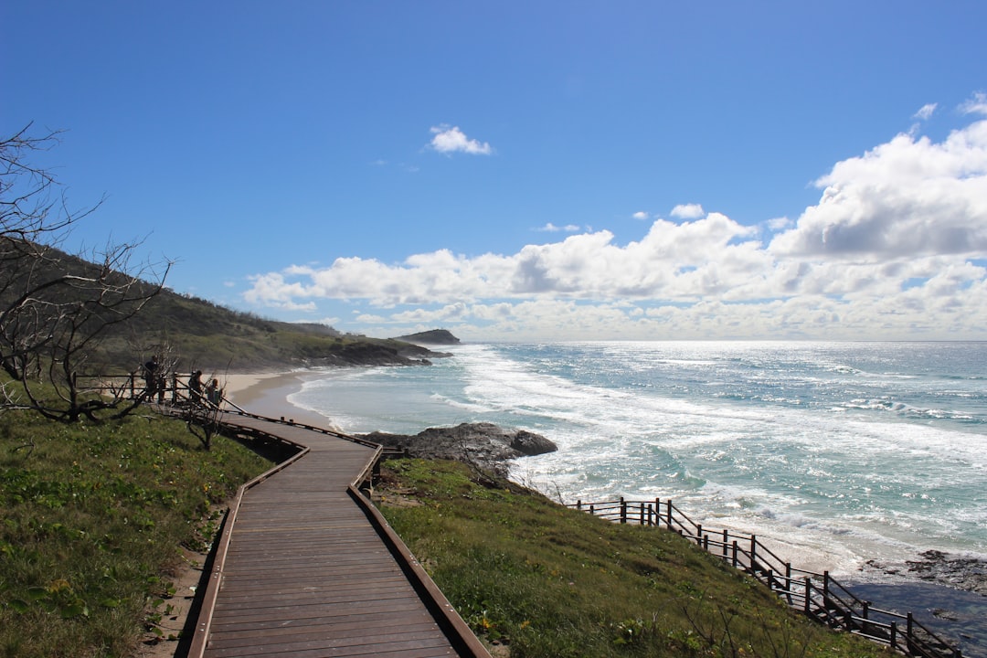Ever wondered what it’s like to cycle through winter wonderlands on Fraser Island? 🚴‍♂️❄️