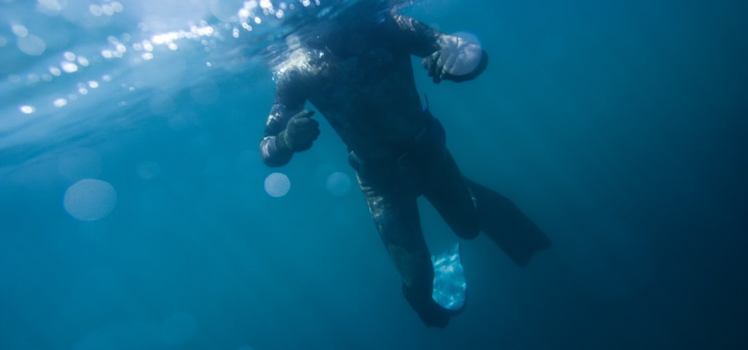 Scuba Diving in Australia: A Complete Beginner to Expert Guide