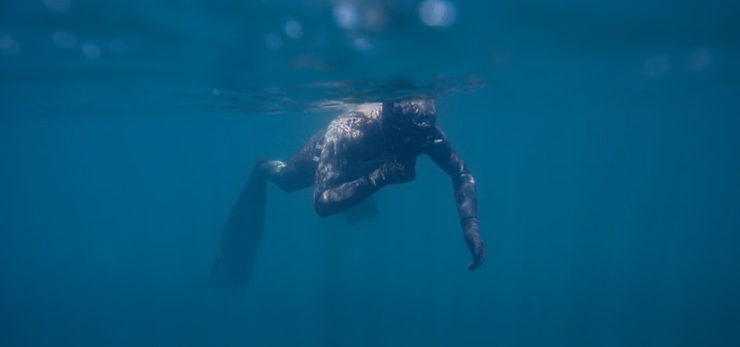 Scuba Diving in Australia: A Complete Beginner to Expert Guide