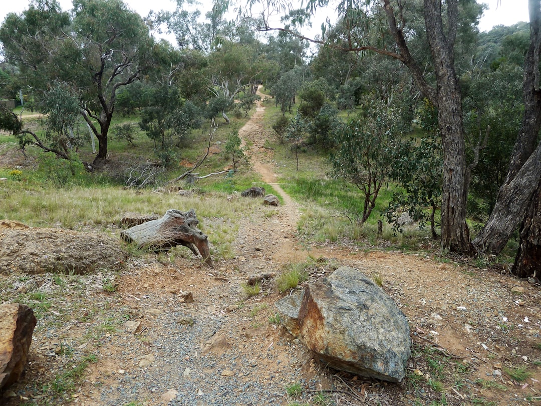 Complete Guide to Mountain Biking in Australia 2026