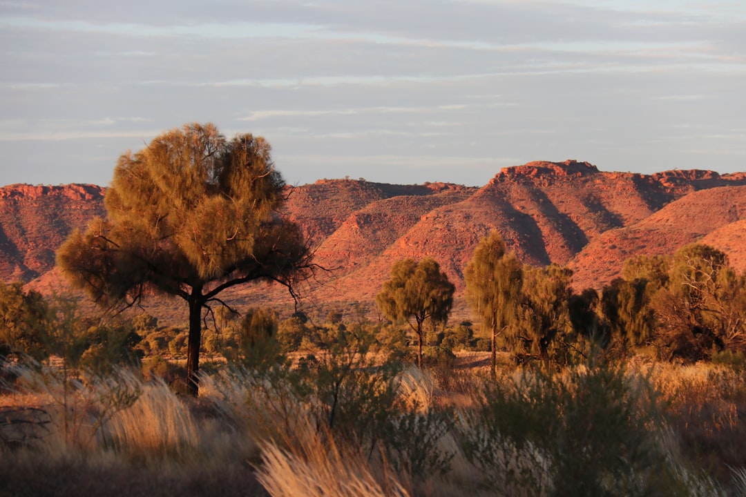 Obstacle Courses in NT: Destinations, Tips & Planning