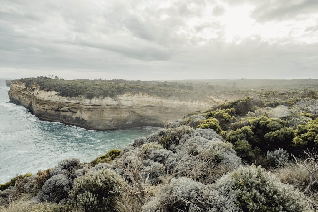 The crunch of gravel underfoot, the salty breeze on your face — Great Ocean Road Nature Walk review! 🌿