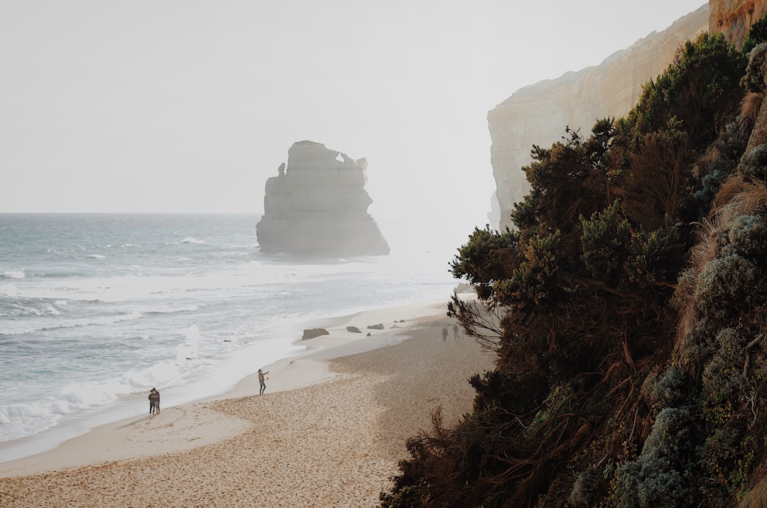 Complete Guide to Road Trip in Australia 2026