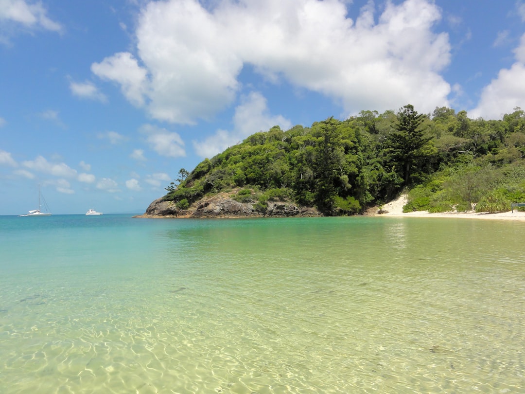 Best Time for Freshwater Fishing in Queensland Coast | Monthly Breakdown