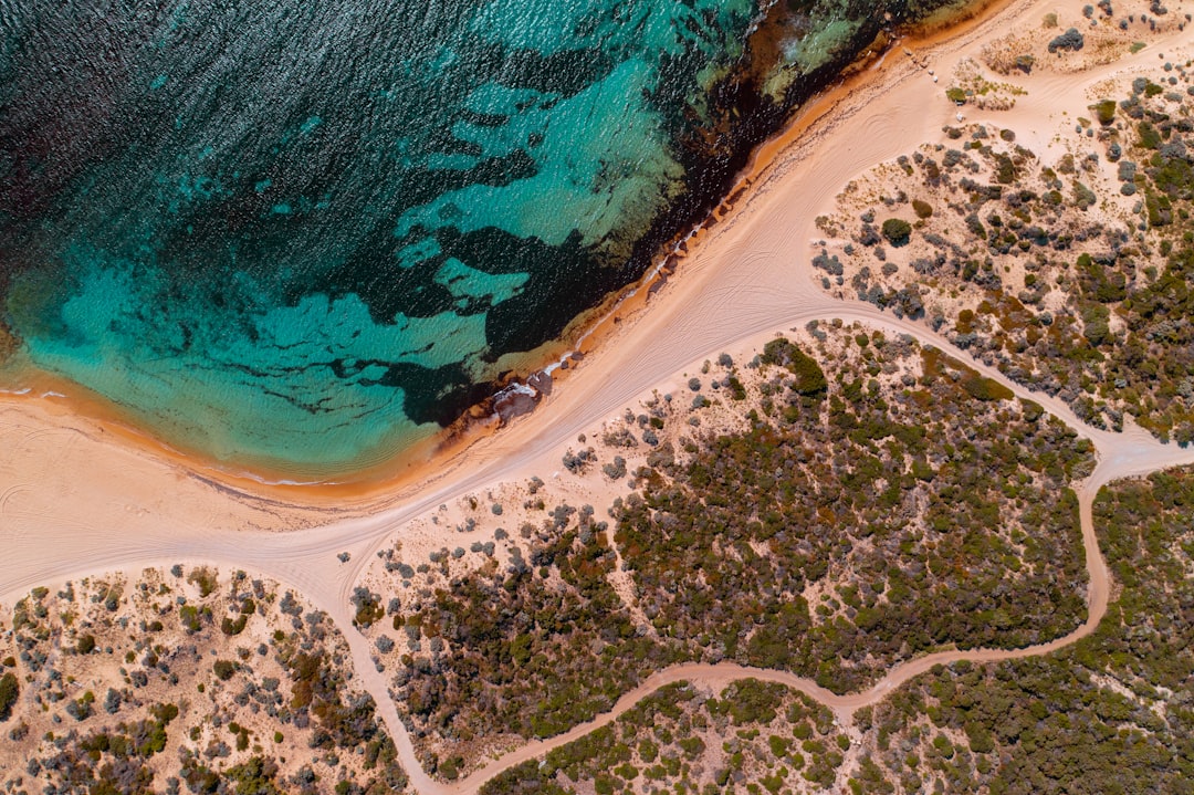 Facilities for Beach Activities in Australia | Complete Guide