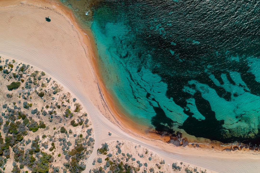Facilities for Beach Activities in Australia | Complete Guide