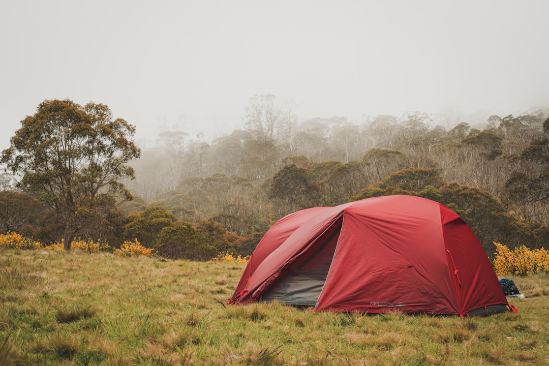 Australia’s Best Camping | Comprehensive 2026 Guide