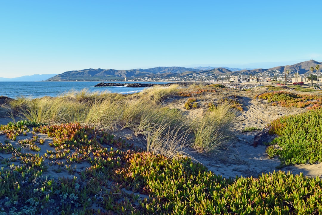 Mark your calendars – The Central Coast’s newest ripper campground is opening this arvo! 🏕️