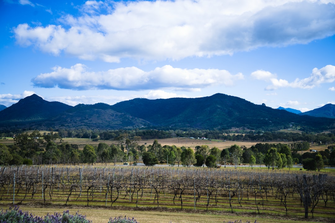 Ever wondered what it’s like to sip wine under winter skies in Australia? 🍷❄️ Everything you need to know about Winter Wine Tasting in Australia in one post!