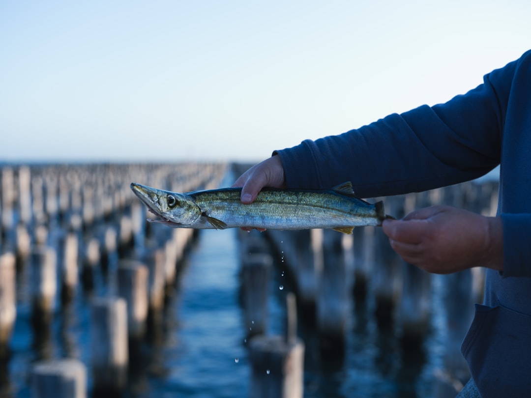 Freshwater Fishing Australia: The Definitive Resource