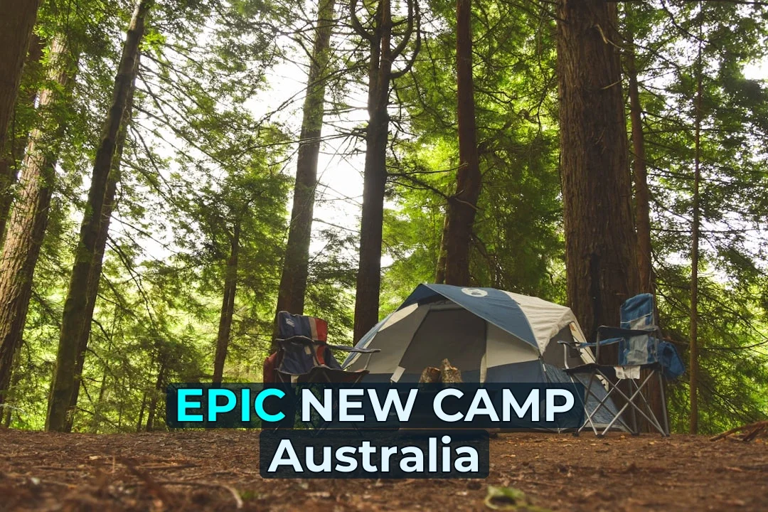 🏕️ Big news: The Outback’s Newest Campground just dropped something exciting! 🌟