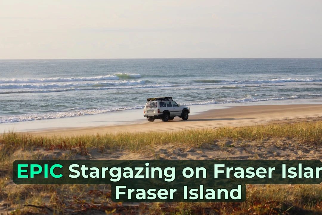 white vehicle beside seashore during daytime