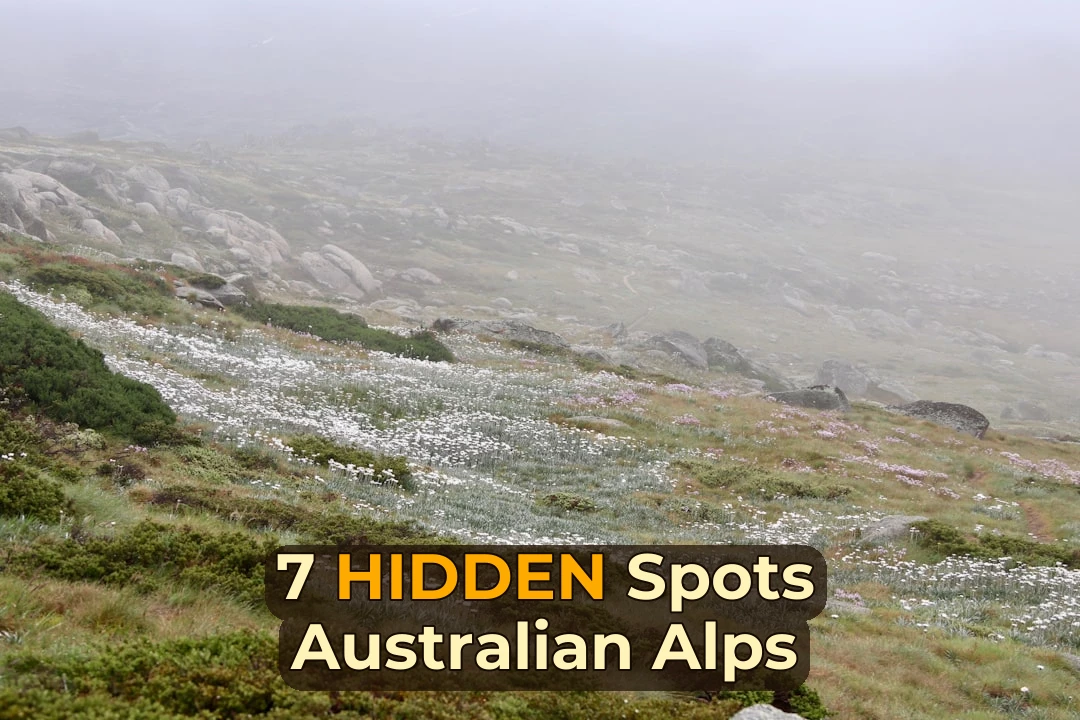 🏔️ 7 Underrated Spots in Australian Alps | Locals Only!
