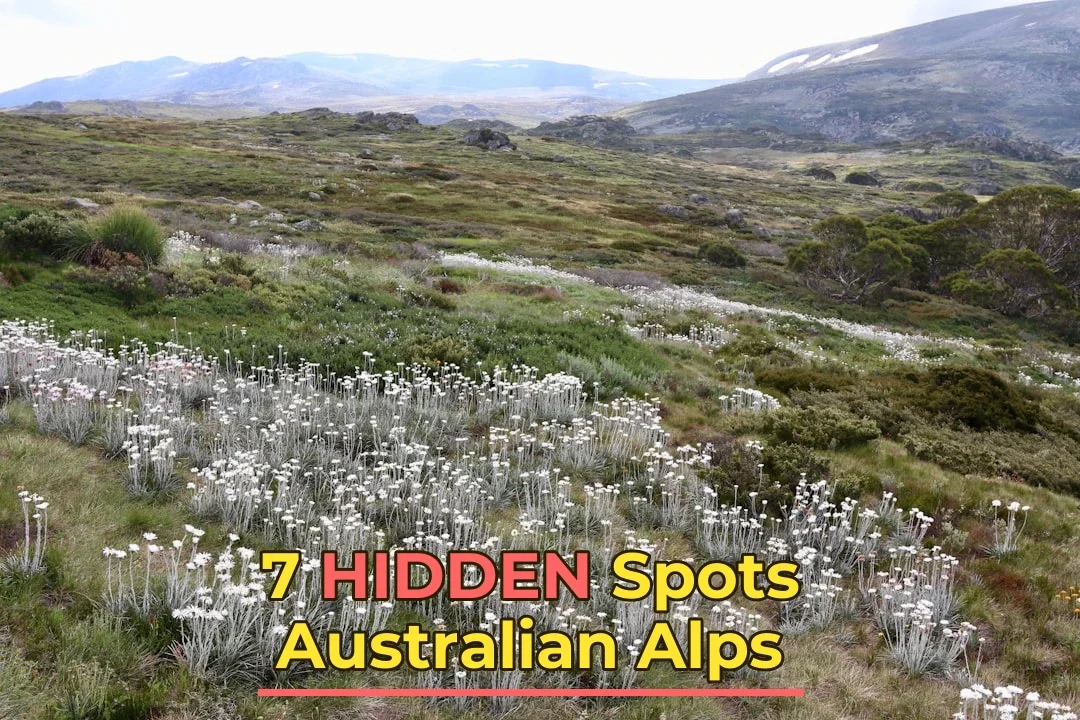 🏔️ 7 Underrated Spots in Australian Alps: What to Hit and What to Skip!