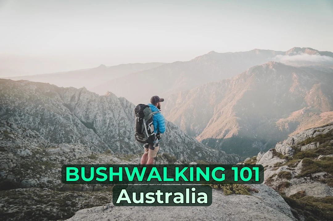 🥾 Ever Wondered How to Start Bushwalking on the Great Ocean Road? First-Timer’s Ultimate Guide!