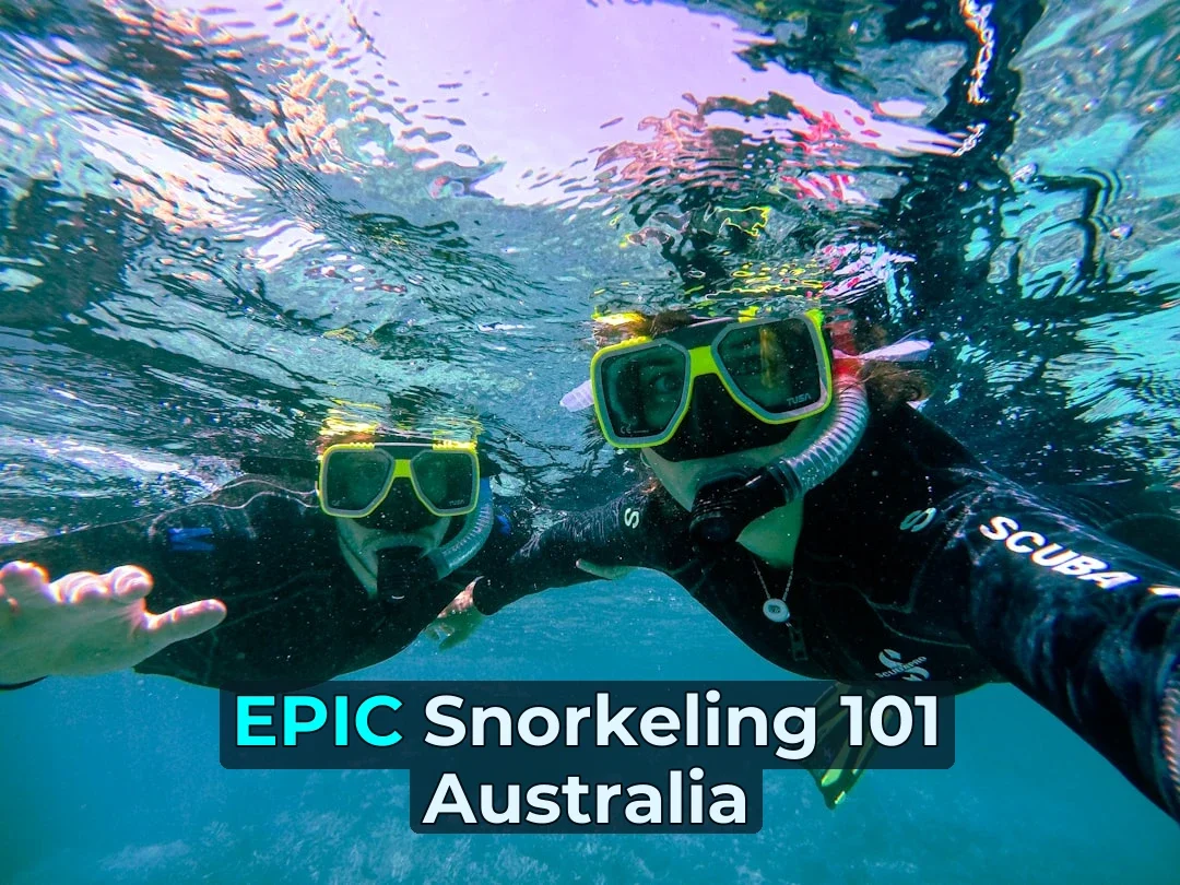 a person in scuba gear under water