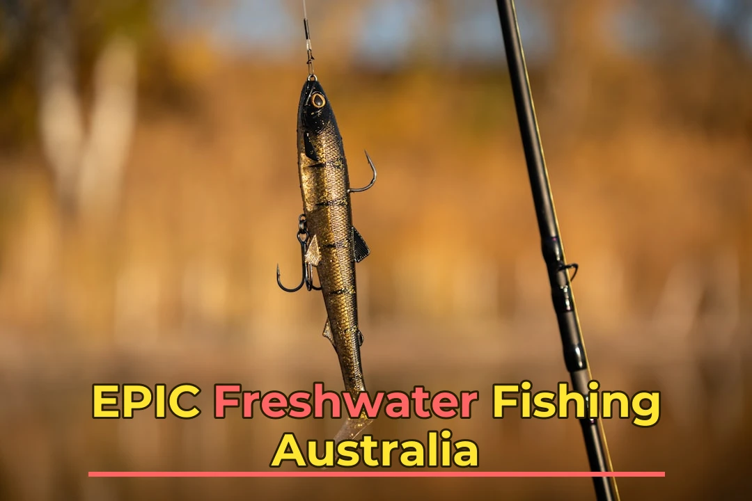 Best Time for Freshwater Fishing in Australia | Monthly Breakdown