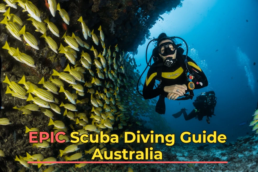 two people scuba diving underwater