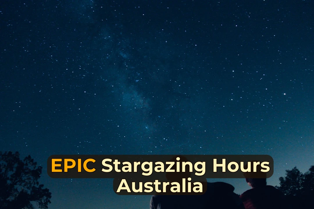 silhouette photo of two person watching stars