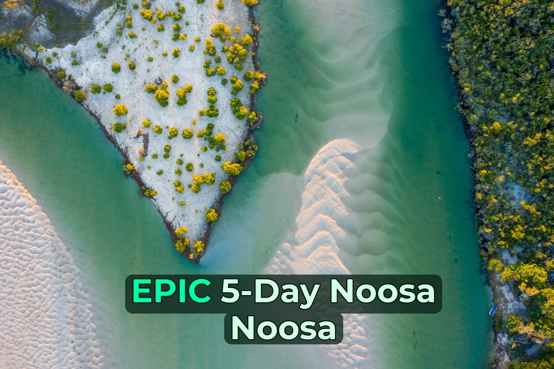 5-Day Noosa Family Adventure | Saltwater National Park & Ocean Swim! 🏊‍♂️