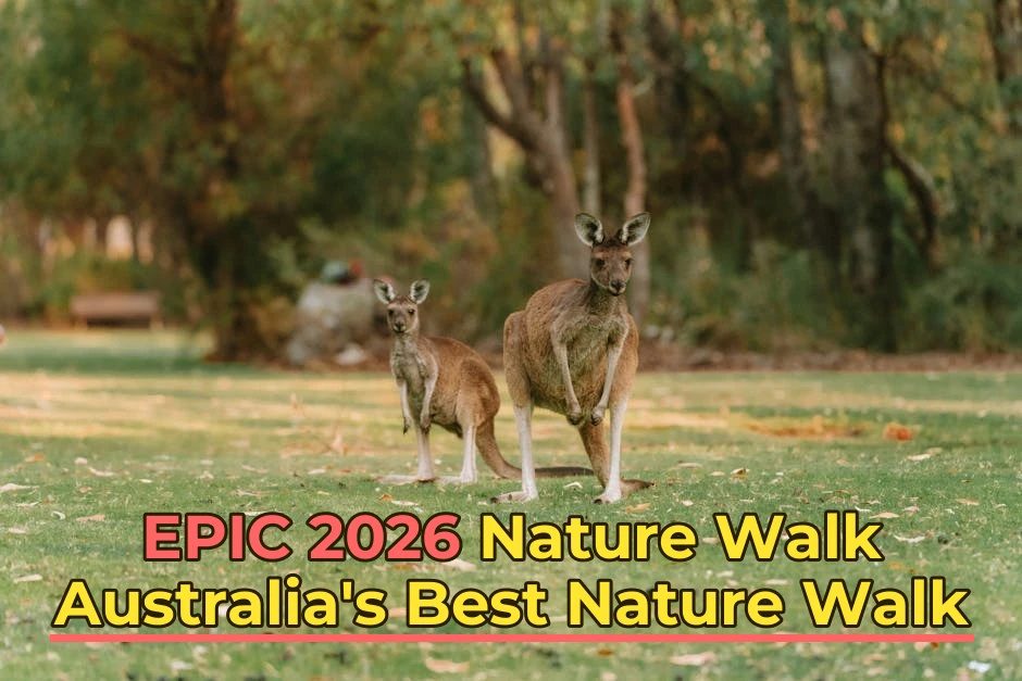 Australia’s Best Nature Walk | Comprehensive 2026 Guide