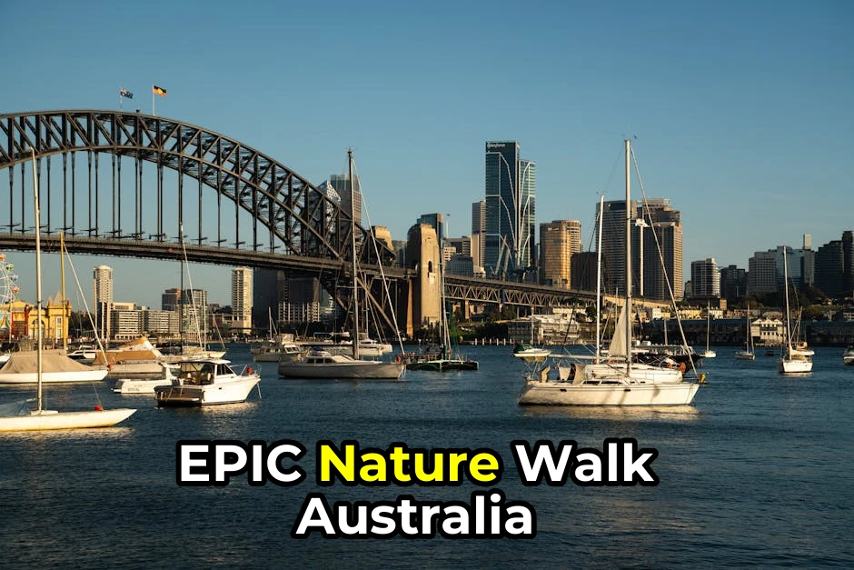 Nature Walk Summer Guide for Australia