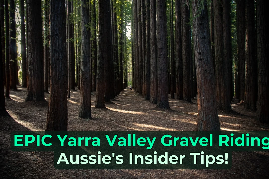 🍂 Autumn is THE time for Gravel Riding in the Yarra Valley! 🚴‍♂️