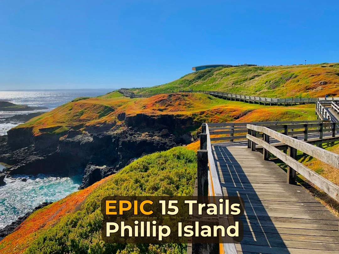 🚵‍♂️ 15 Mountain Biking Trails You Can’t Miss in Phillip Island! 🏝️