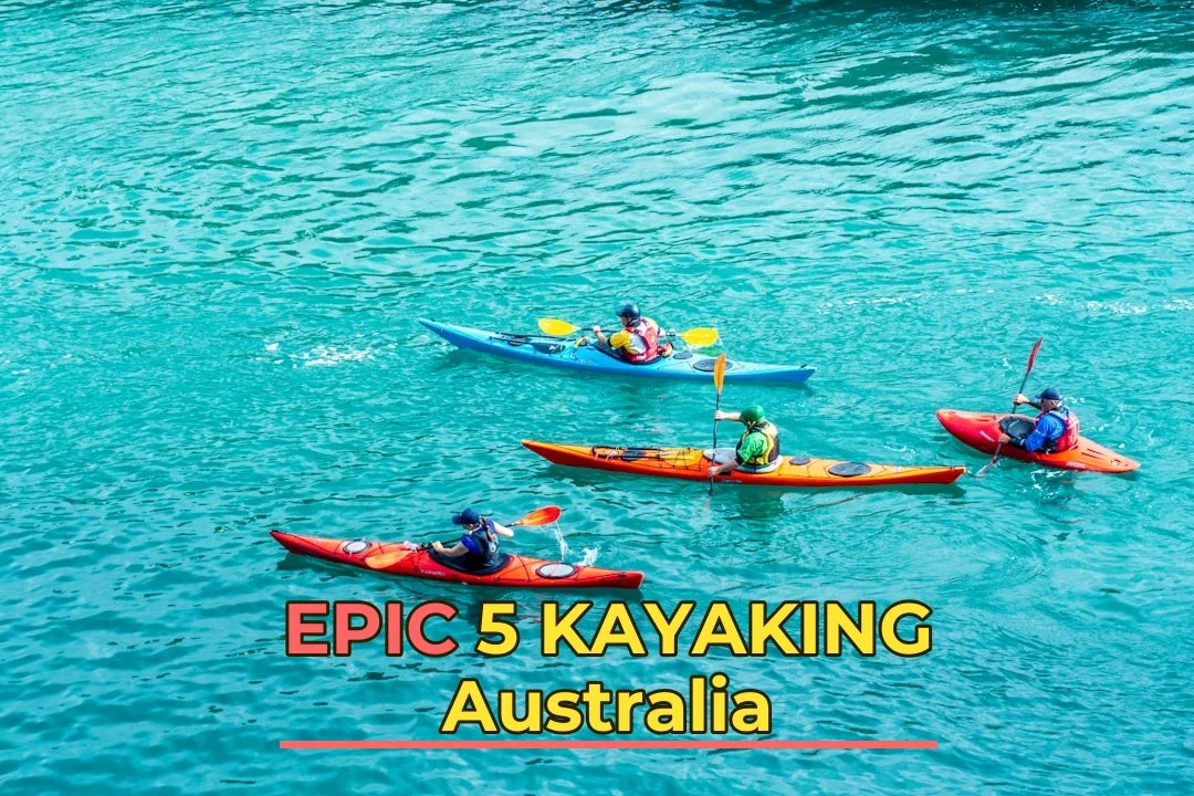 🚣‍♀️ 5 Kayaking Spots in Oz You Can’t Miss! What to Paddle and What to Skip!