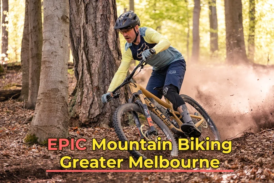 a man riding a mountain bike through a forest