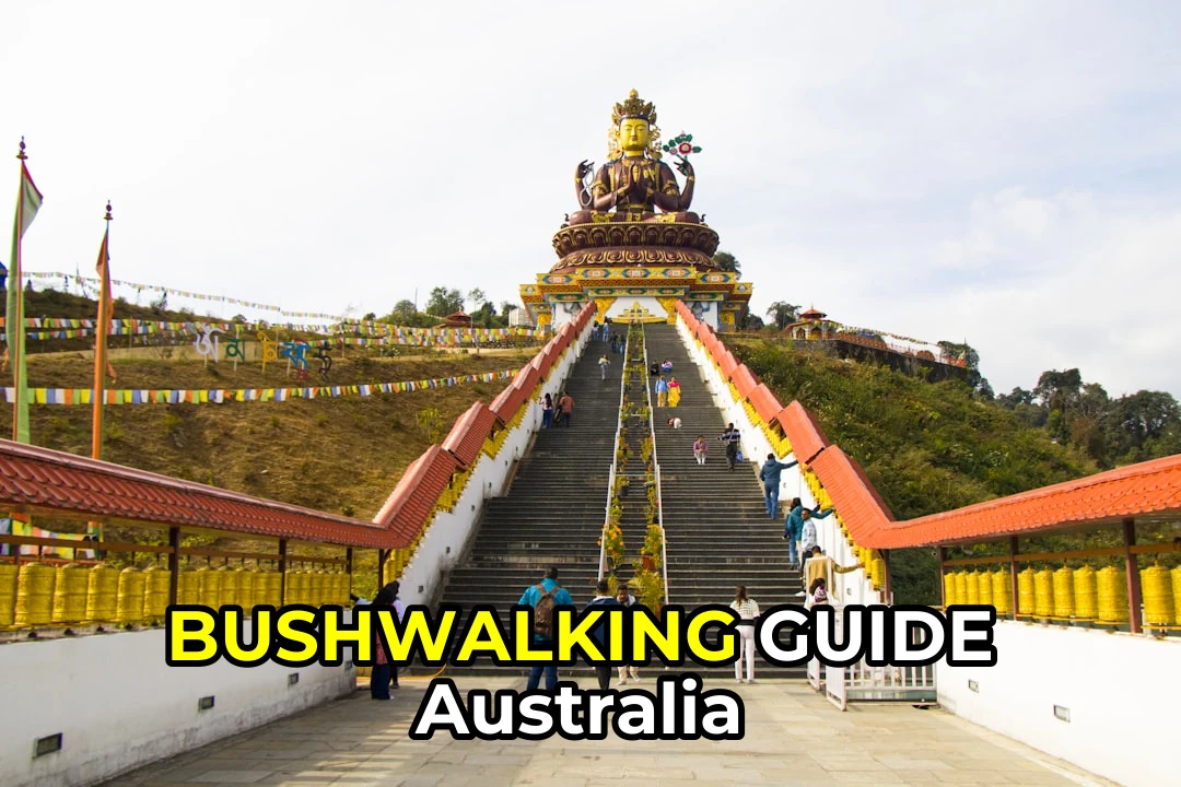 Bushwalking in Australia: A Complete Beginner to Expert Guide