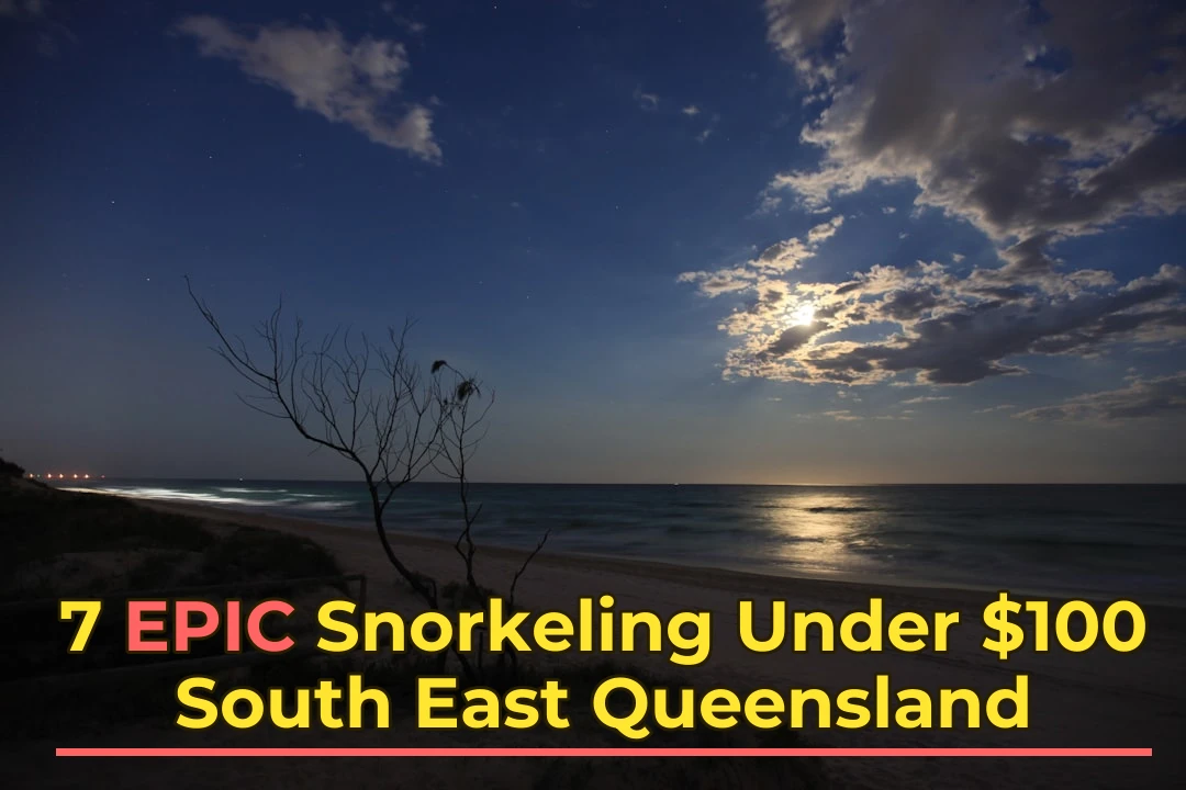 💰 From budget to premium – find your perfect snorkeling tier! 🤿 7 SE QLD Spots Under $100