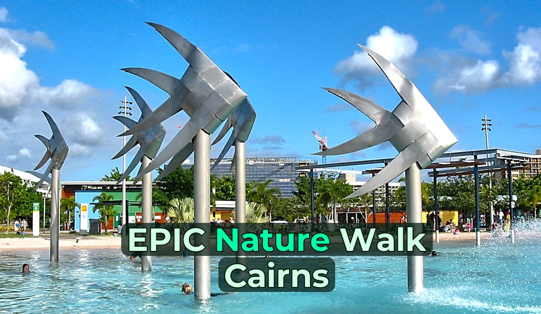 people walking on park with gray concrete fountain during daytime