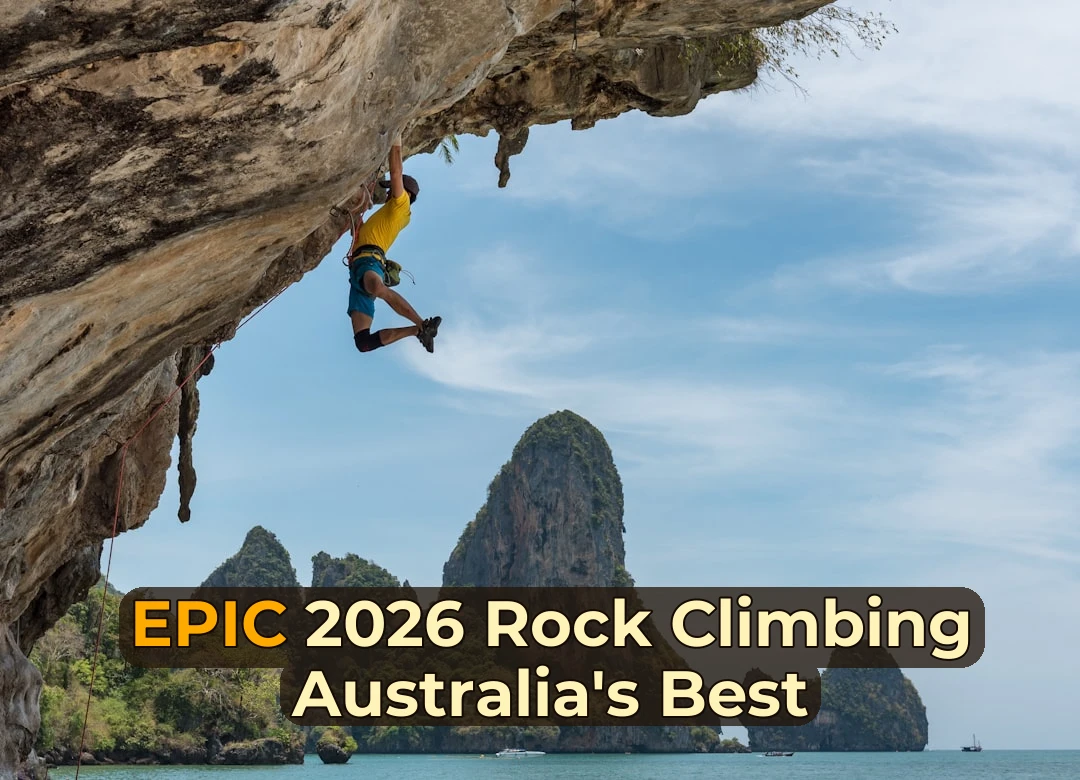 man climbing cliff beside beach
