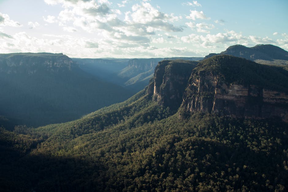 🦜 Blue Mountains Wildlife Watching | First-Timer’s Complete Guide! 🌿