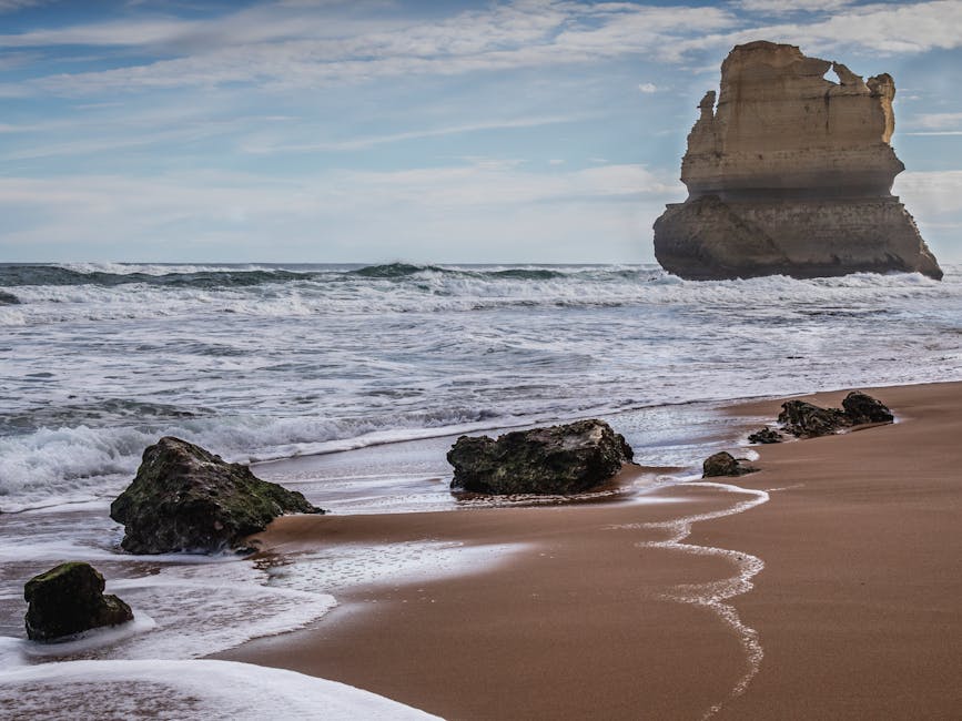 🍂 Autumn Mountain Biking in Great Ocean Road: The Ultimate Guide! 🚵‍♂️