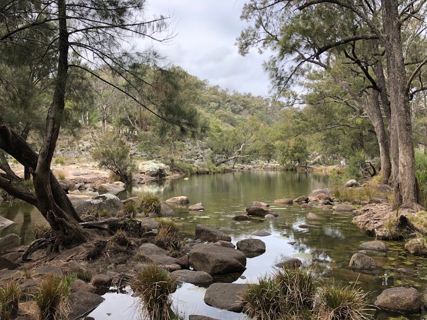 How to Plan Swimming in Northern Rivers | Step-by-Step