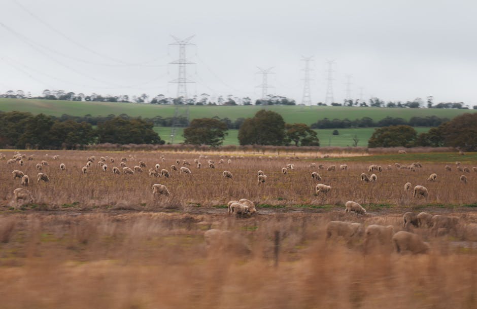 How to Plan Cycling in Western Victoria | Step-by-Step