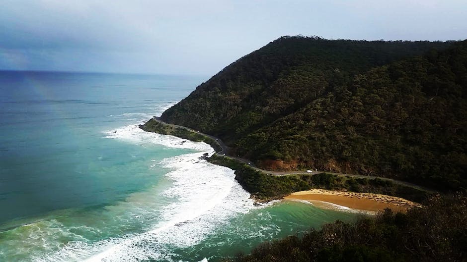 🚴‍♀️ Great Ocean Road Cycling: 12 Tips from a Local!