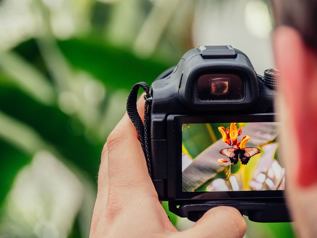 Ever wondered how to capture Wilsons Prom’s magic? 📸 Your Ultimate Photography 101 Guide!