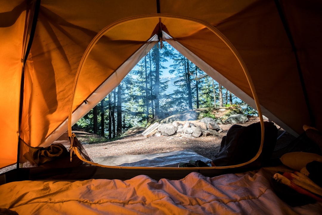🏕️ Big news: The Outback’s Newest Campground just dropped something exciting! 🌟