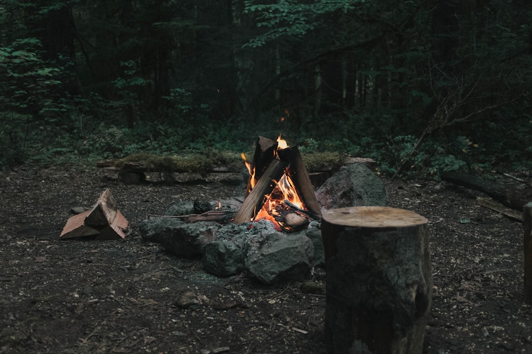 🏕️ Big news: The Outback’s Newest Campground just dropped something exciting! 🌟