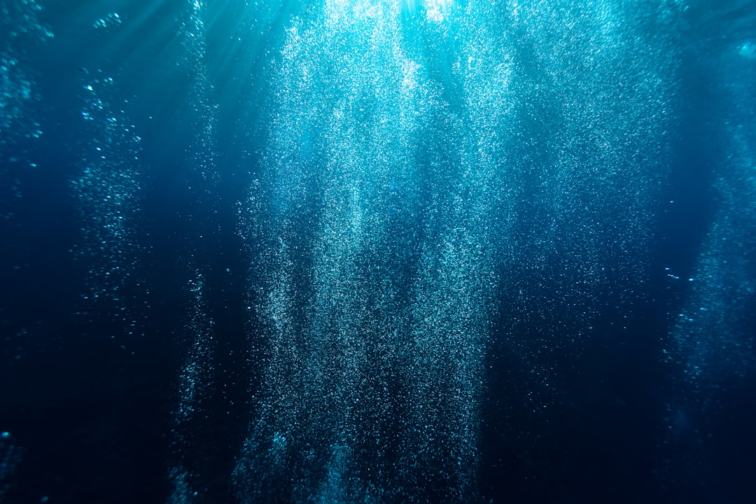 12 Free Scuba Diving Spots in Gold Coast 🤿 | What to Dive and What to Skip!