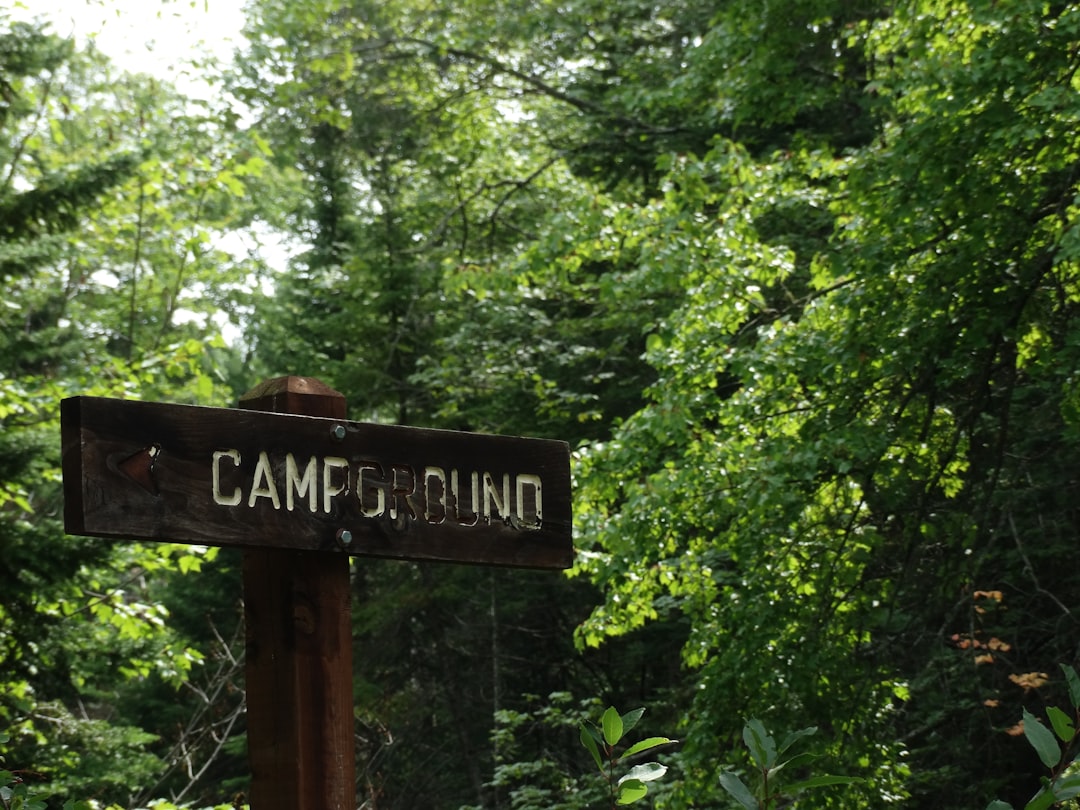 🏕️ Big news: The Outback’s Newest Campground just dropped something exciting! 🌟