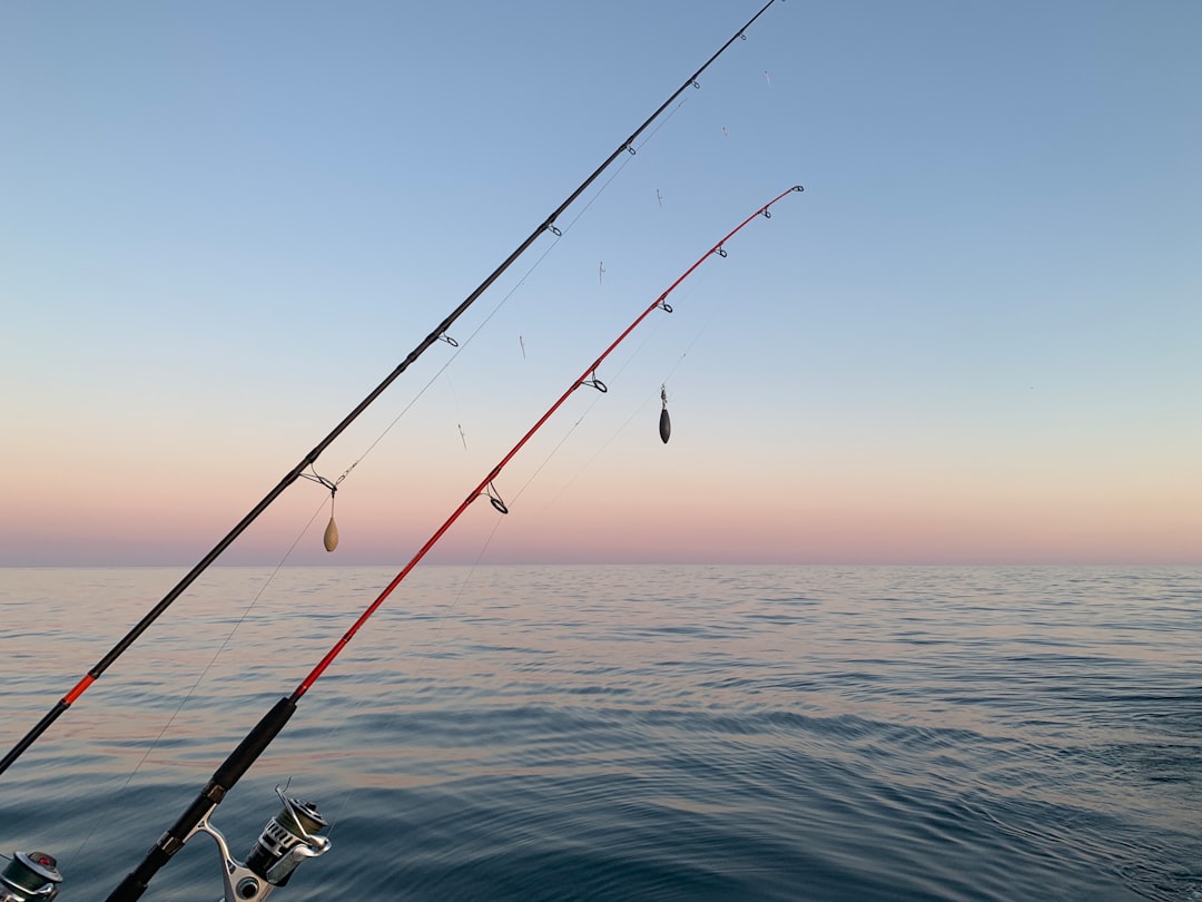 Access for Deep Sea Fishing in Australia | Complete Guide