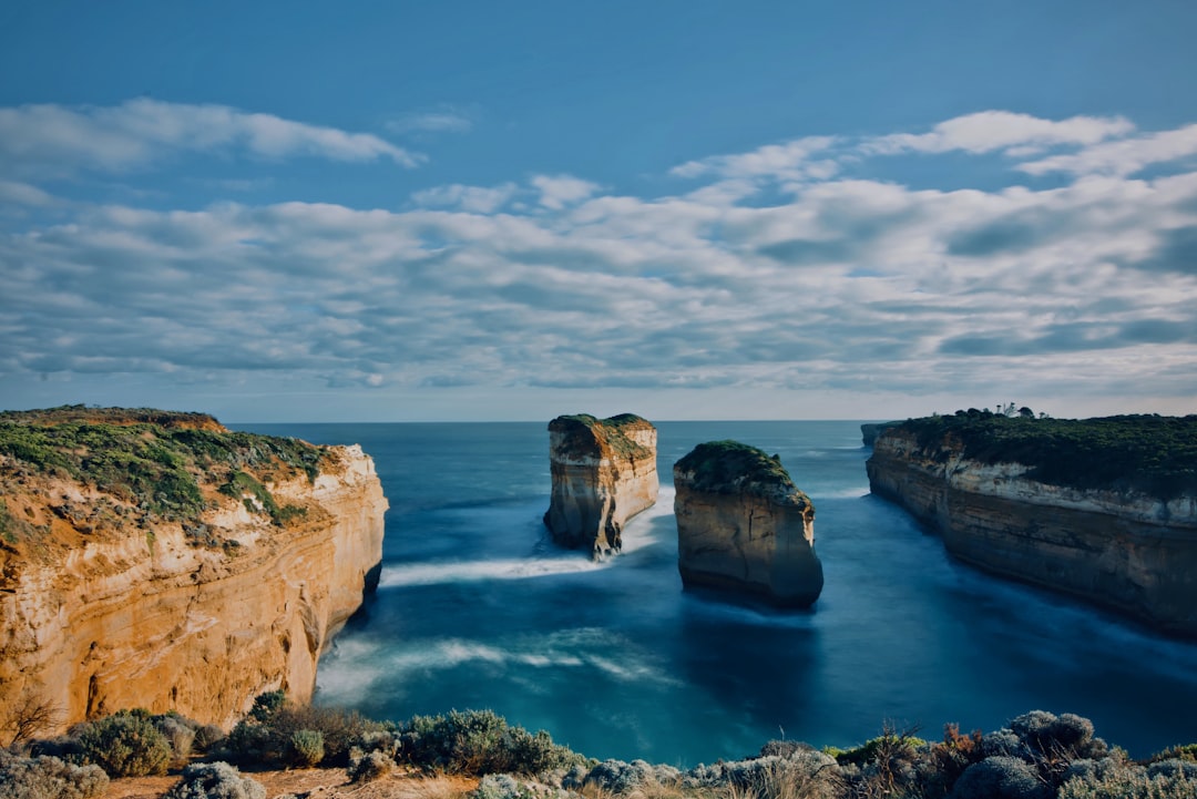 Everything you need to know about Great Ocean Road Wildlife Watching in one post! 🦘🌊