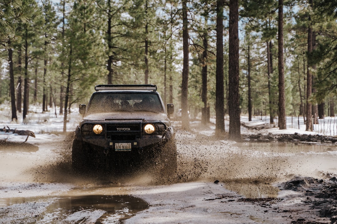 Ultimate 4WD Adventures Guide Australia: Everything You Need to Know