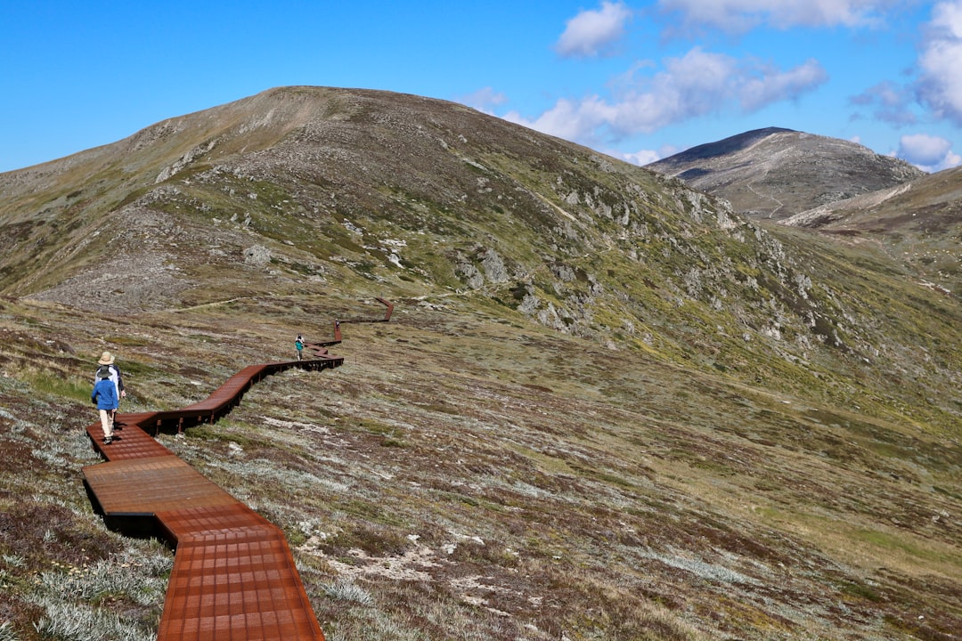 The Ultimate Australian Hiking Guide | Tips, Locations & More
