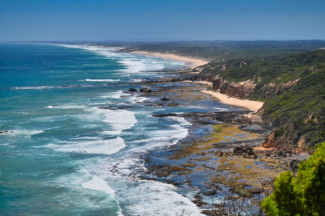 🥾 First Time Hiking Great Ocean Road? Don’t Stress – I’ve Got You Covered! 🌊