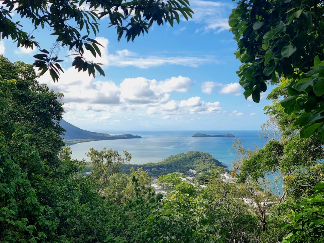 🌿 Planning Nature Walk at Cairns? Read This First! 🦘